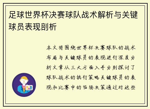 足球世界杯决赛球队战术解析与关键球员表现剖析 足球世界杯决赛球队战术解析与关键球员表现剖析